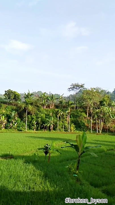 ngopi pagi hari penambah moodbooster
