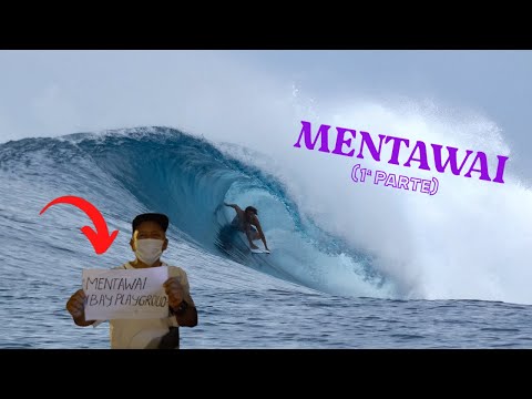 MENTAWAI EBAY PLAYGROUND SURFCAMP