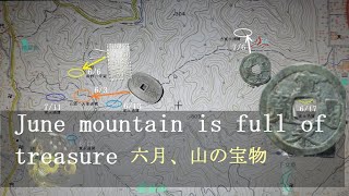 June mountain is full of treasure 六月の山は宝物がいっぱい