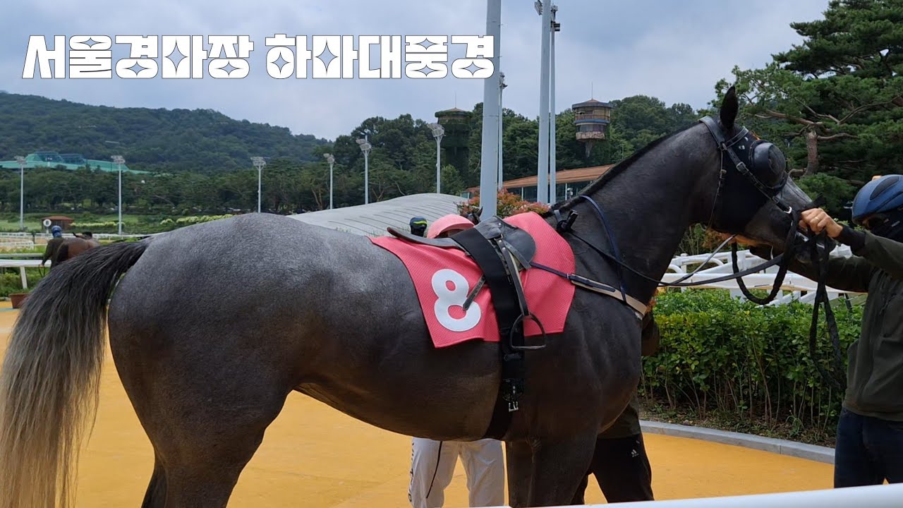 경주마치고 들어온 말과기수(하마대풍경)