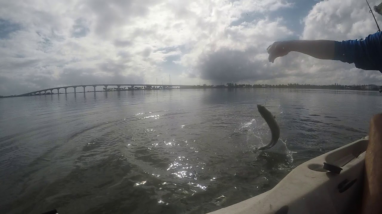 Jensen Beach Florida Kayak Fishing - YouTube