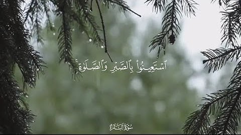 تلاوه من |سورة البقرة| يا ايها الذين امنوا استعينوا بالصبر والصلاه الشيخ[ محمد اللحيدان]... 🌿🤍🤍