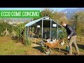 Come concimare con la pollina, stallatico e letame | Orto & Giardinaggio