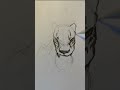 The Wild God's Origins! - #worldbuilding #writing #art #sketch