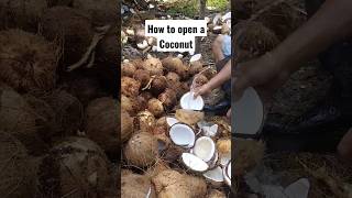 How to open a coconut with knife