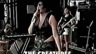 The Creatures Glastonbury 1999.