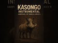 Harrycane X Dr Tawanda Nelcy B Kasongo Instrumental Accompanied Audio By Mluhh 28