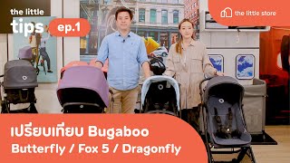 the little tips EP.1 เปรียบเทียบรถเข็น Bugaboo ! Butterfly, Dragonfly & Fox 5 | Bugaboo Thailand