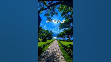 #سورة_الاخلاص #احمد_العجمي #قرآن #راحة_نفسية #اكسبلور #foryou #pourtoi #duet #لايك
