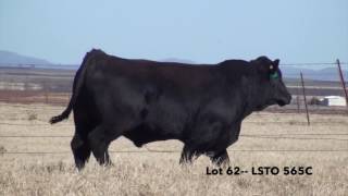 Lot 62-- LSTO 565C