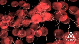 BeckmanCoulter Test 1 Technology - 3D Medical Animation