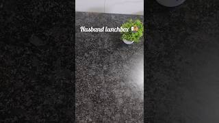 Husband Lunchbox Packing | Simple Indian Lunchbox Ideas | Easy Daily Cooking