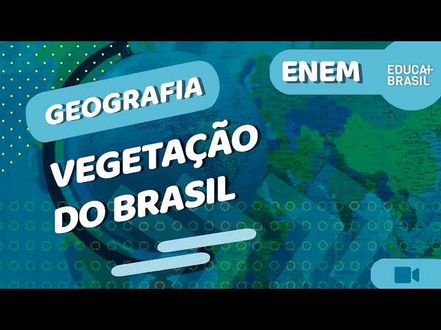 Vegetação do Brasil: tipos e características - PrePara ENEM