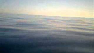 la juanilla y los delfines