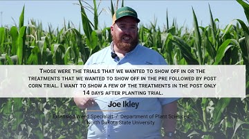 Palmer Amaranth Control in Field Corn |  Dr. Joe Ikley, Extension Weed Specialist, NDSU