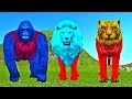 Animals Finger Family Nursery Rhymes | Wild Animals Daddy Finger Songs For Children Toddlers