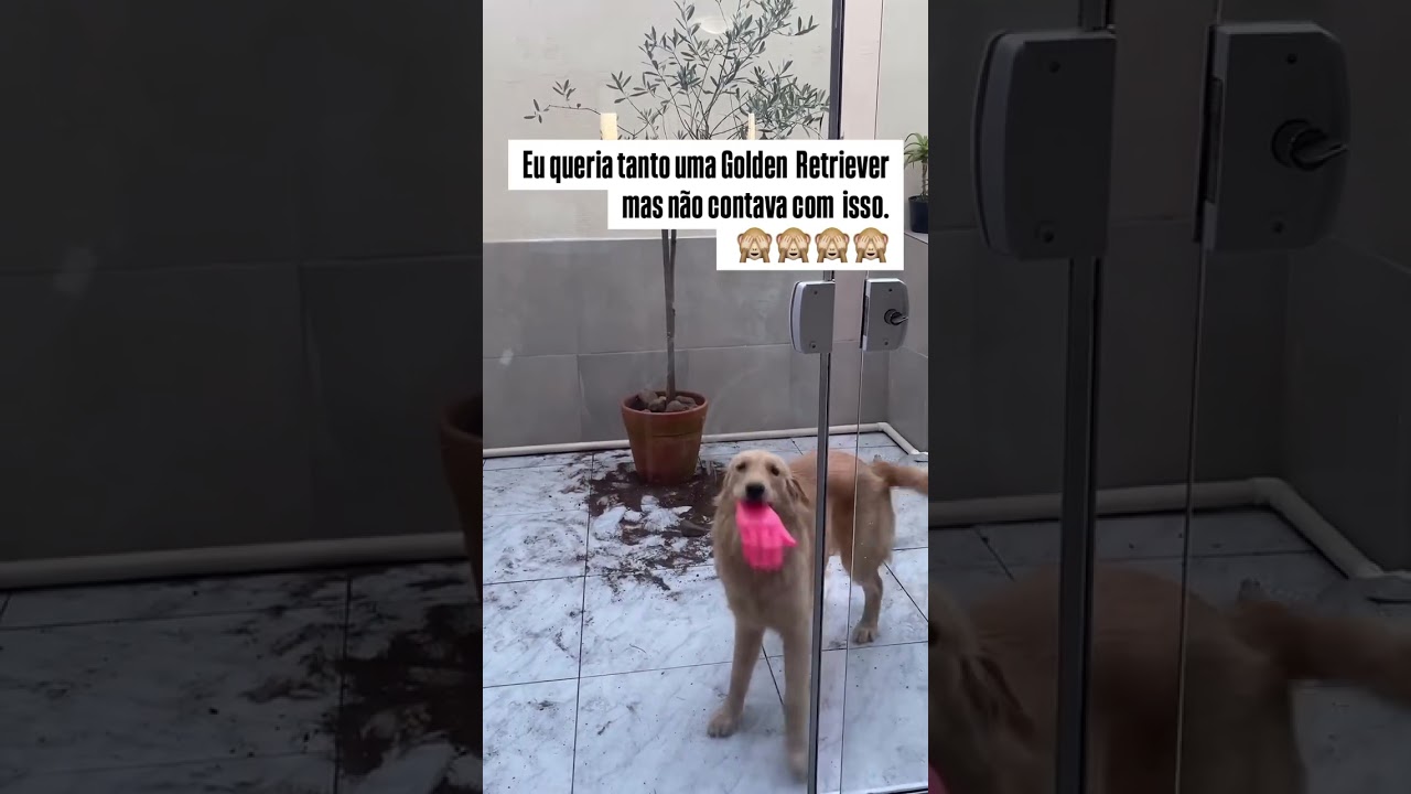13 de junho de 2026