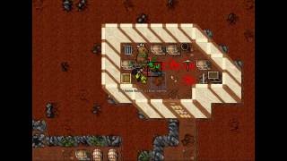 Life of a free (Tibia) cap 6: Present quest y Bear room quest
