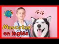 Las mascotas en inglés | Pets | English for kids 🗽