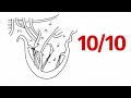 How to draw human heart | class 10. | easy diagram 