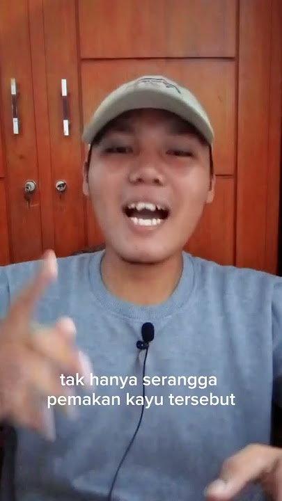 LAKUKAN CARA INI UNTUK MENGUSIR RAYAP