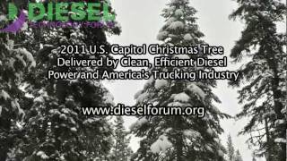 2011 U.S. Capitol Christmas Tree - Delivered by Diesel Power and the Trucking Industry