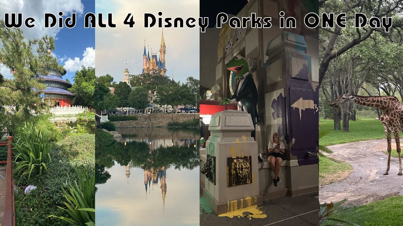 We Did ALL 4 Disney Parks in ONE Day 😱 | Park Hopper Challenge