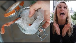 I QUIT PLASTIC - and other 2018 new years resolutions.