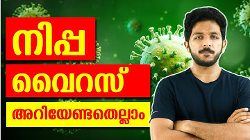 Nipah Virus (NiV) | Is this the next Outbreak? | Malayalam