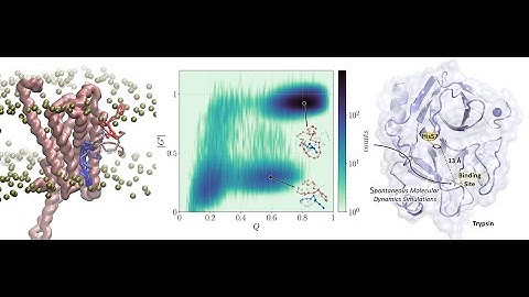 BioExcel Student Webinar: School 2022 Edition