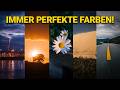5 Farb Tricks Für SOFORT Bessere Fotos Mit Jeder Kamera