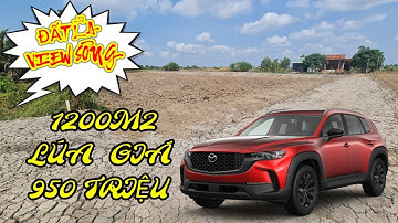 CHỦ CẦN BÁN VÀI CÔNG ĐẤT LÚA VIEW SÔNG  ĐƯỜNG XE HƠI 1200M2 GIÁ 950 TRIỆU XÃ TÂN ÂN CẦN ĐƯỚC LONG AN