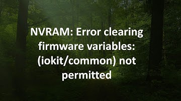 NVRAM: Error clearing firmware variables: (iokit/common) not permitted