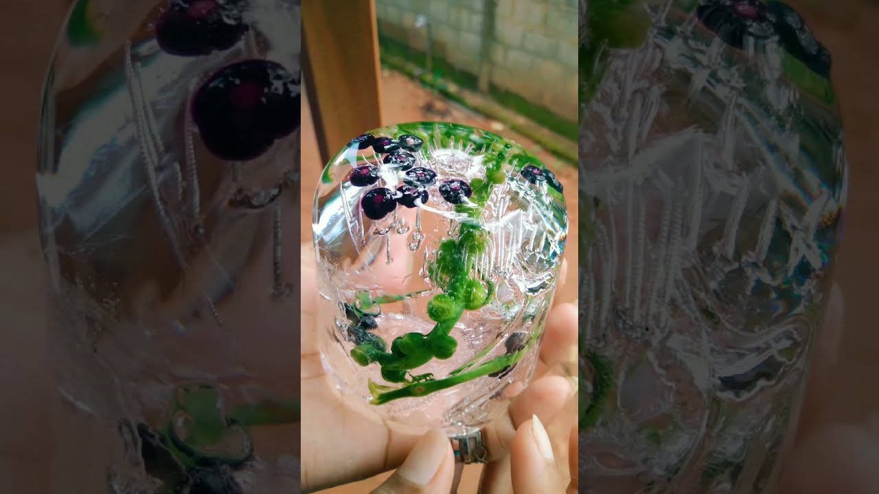 science experiments vegetable with water 