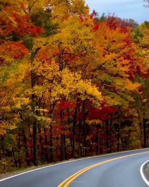 Download lagu Endank soekamti x HIVI - Siapkah kau tuk jatuh cinta lagi (story)