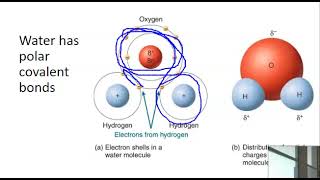 Ch 2a Covalent and Ionic bonds