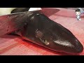 Korean street food shark sashimi korea seafood market      201215