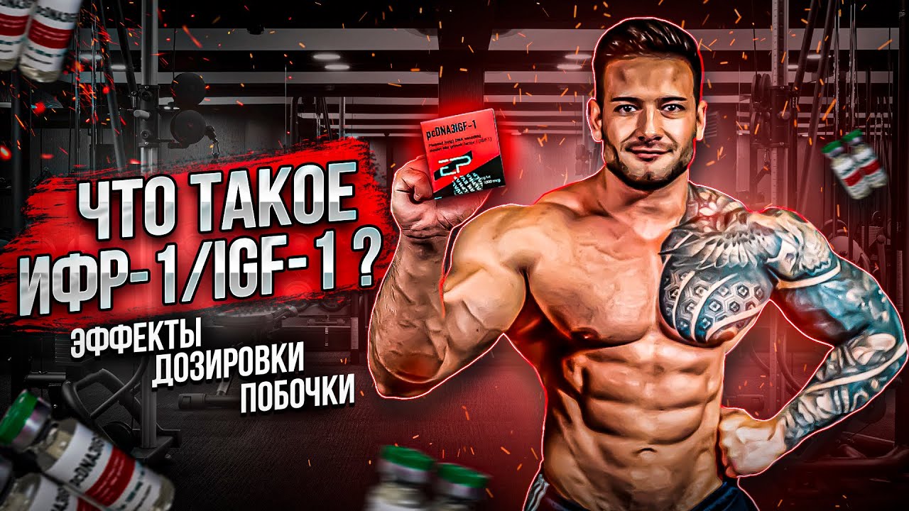 ИФР-1/IGF-1 ПЛАЗМИД | КАК ИСПОЛЬЗОВАТЬ | ДОЗИРОВКИ | ПОБОЧНЫЕ ЭФФЕКТЫ | ПРЕИМУЩЕСТВА