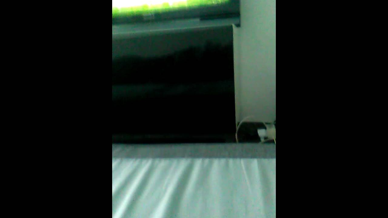 Benjamin spiller fifa 16