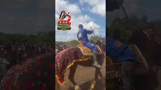 اربش لوطا لفوق عجاج احلى جو وربوخ الطبال والزكار من سهرة مهرجان رواحة ساعة كاملة من المشاهدة