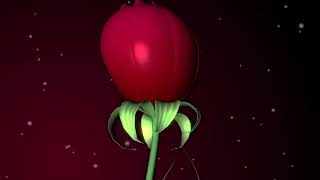 Growing Rose,Flower, No Copyright, Copyright Free Video, Motion Graphics, Background Videos 3 screenshot 4