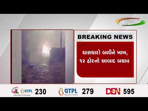 નર્મદામાં કડાકા-ભડાકા સાથે આગ !...વીજપોલ પર તણખા, ઘાસચારો બળીને ખાખ