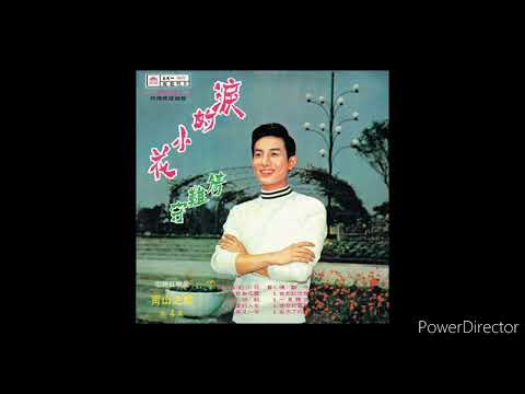 青山 - 淚的小花