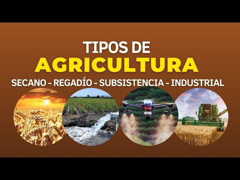 Video: ¿Cuáles son los cuatro tipos de agricultura?