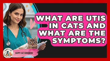 What Are UTIs In Cats And What Are The Symptoms? - Happy Cat Handbook