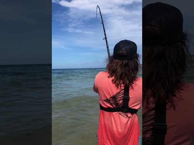 Guy Catches Monster Fish While Beach Fishing! #shorts class=