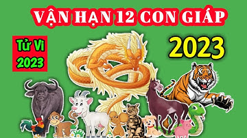 Vận Hạn của 12 Con Giáp trong năm 2023 chi tiết - Vận Hạn 2023 @Luangiai12congiap