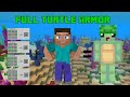 Je Me Transforme En Tortue Sur Minecraft