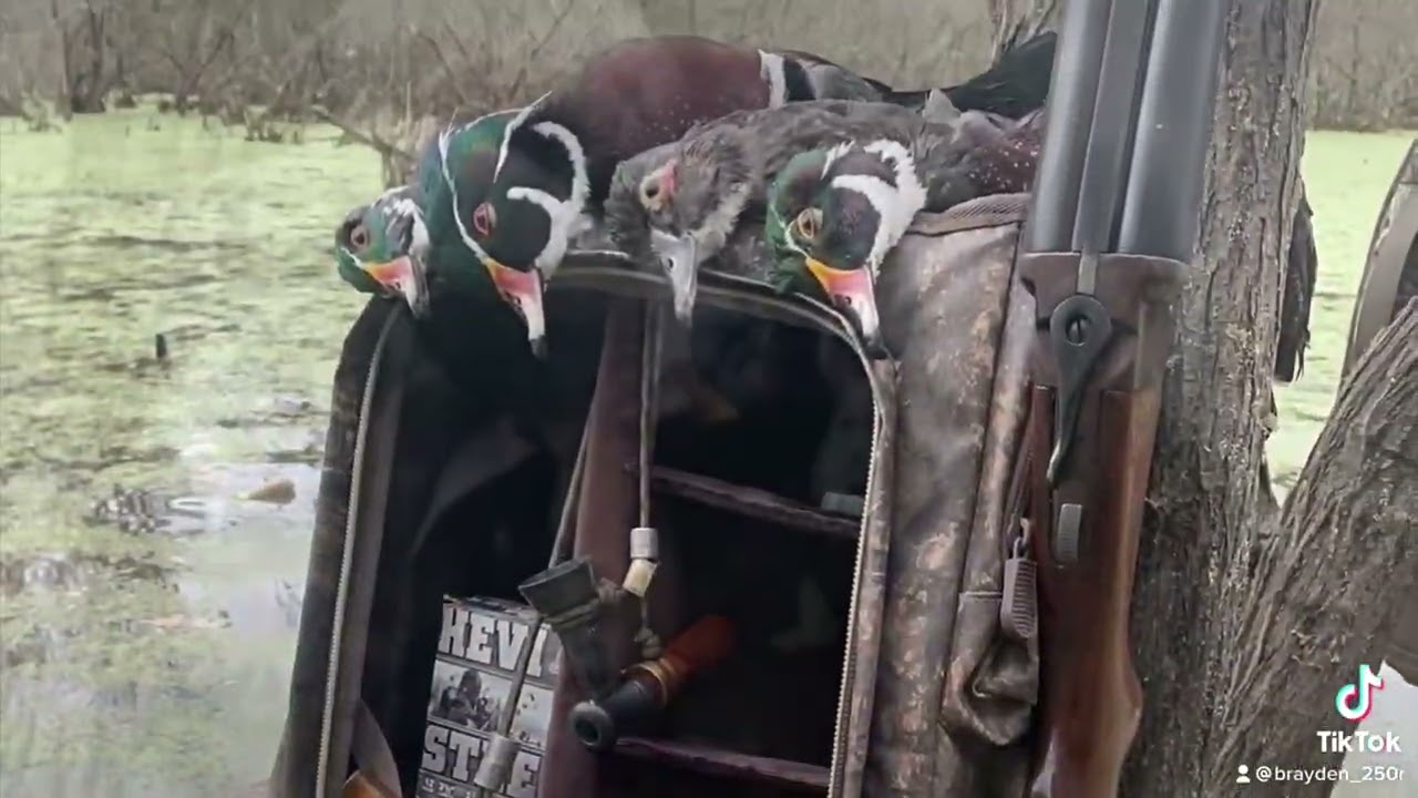 2021-2022 duck season