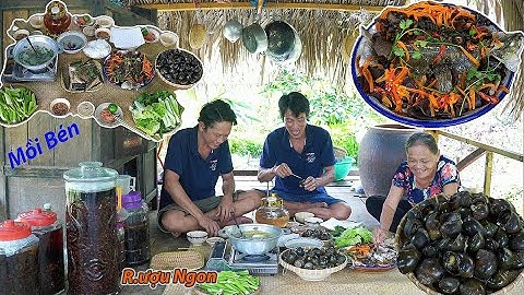 Cá Chẽm Hấp Nước Mắm Nhĩ  " Lai Rai " mồi bén r.ượu ngon | Gấc Quê